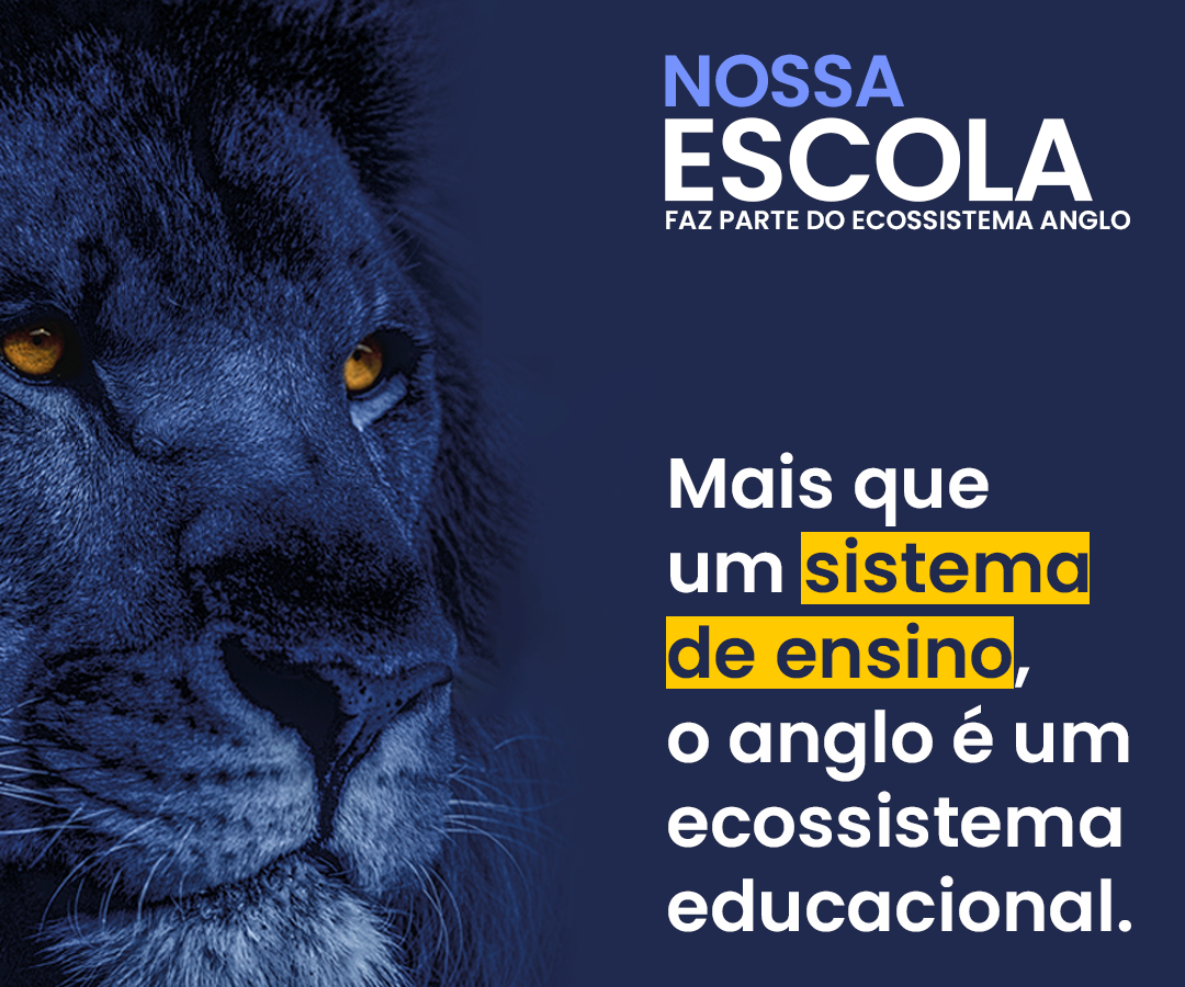 ensino-anglo